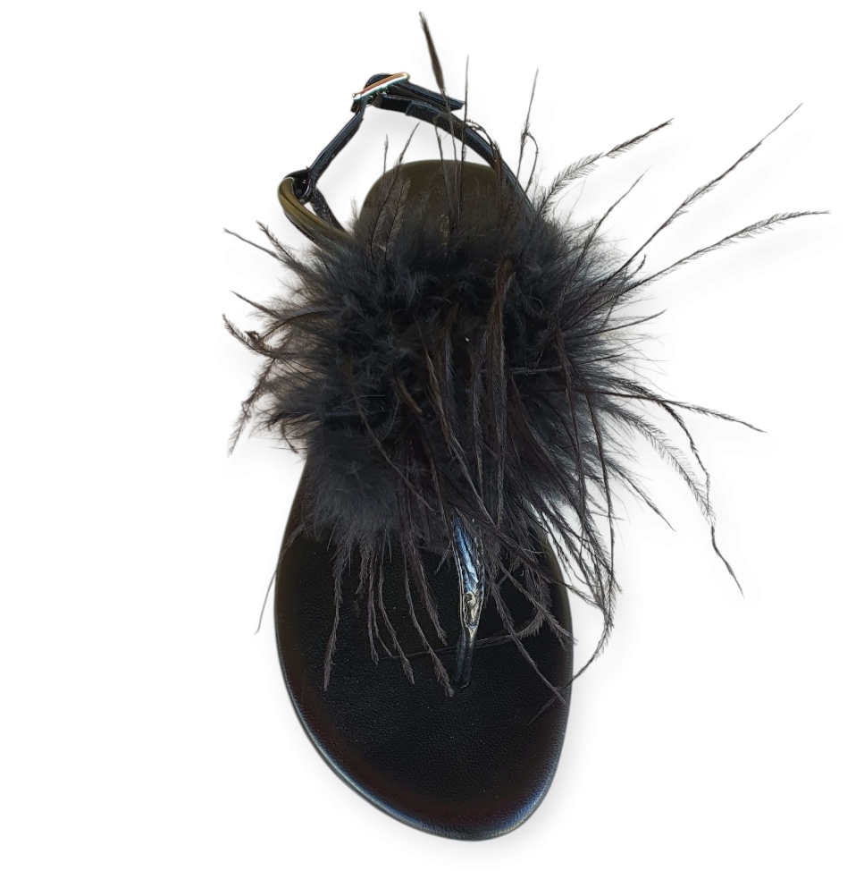 8E115 2176 Vernice nero